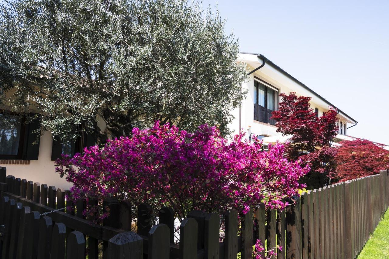 Agriturismo Il Cascinale Treviso Eksteriør billede