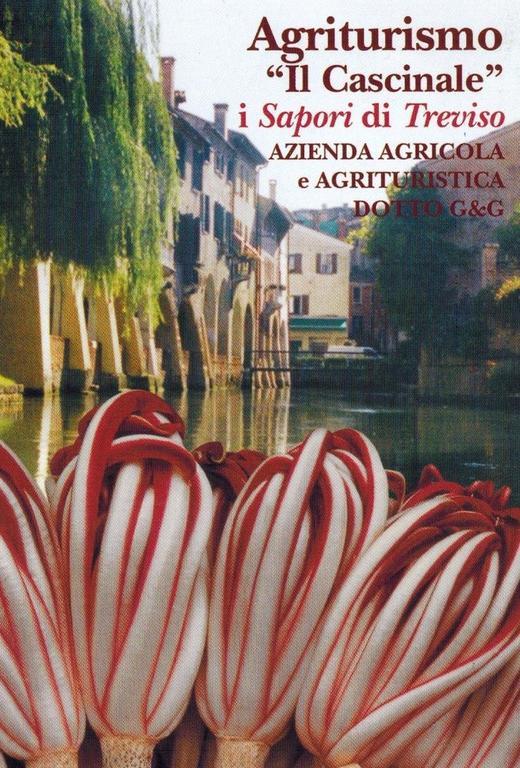 Agriturismo Il Cascinale Treviso Eksteriør billede